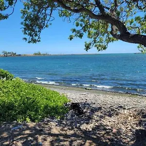 https://room-1-free-room-with-purchase-of-gym-training-room-1.lahainahotels.net